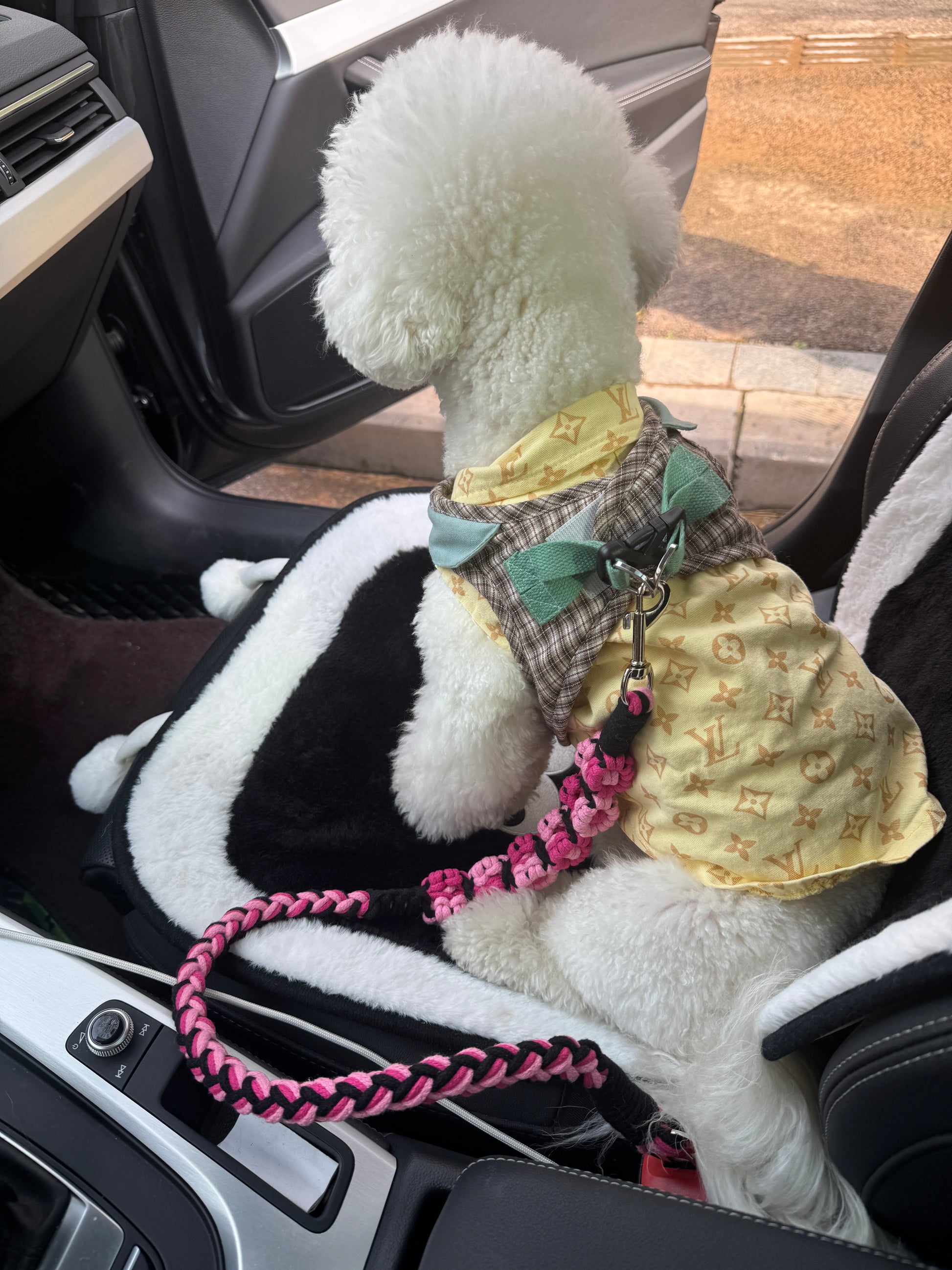 A black and pink handwoven dog safety seatbelt attached to a Bichon Frise, emphasizing the comfortable fit and practical design of the seatbelt for everyday travel with pets.