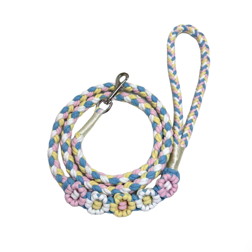 Blue and pink five-flower handmade dog leash coiled together, displaying its overall design with a fresh and vibrant look.