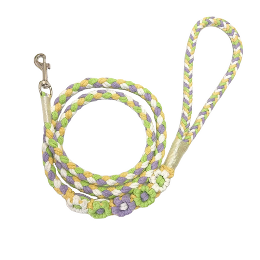 Green and yellow five-flower handmade dog leash coiled together, displaying its overall design with a fresh and vibrant look.
