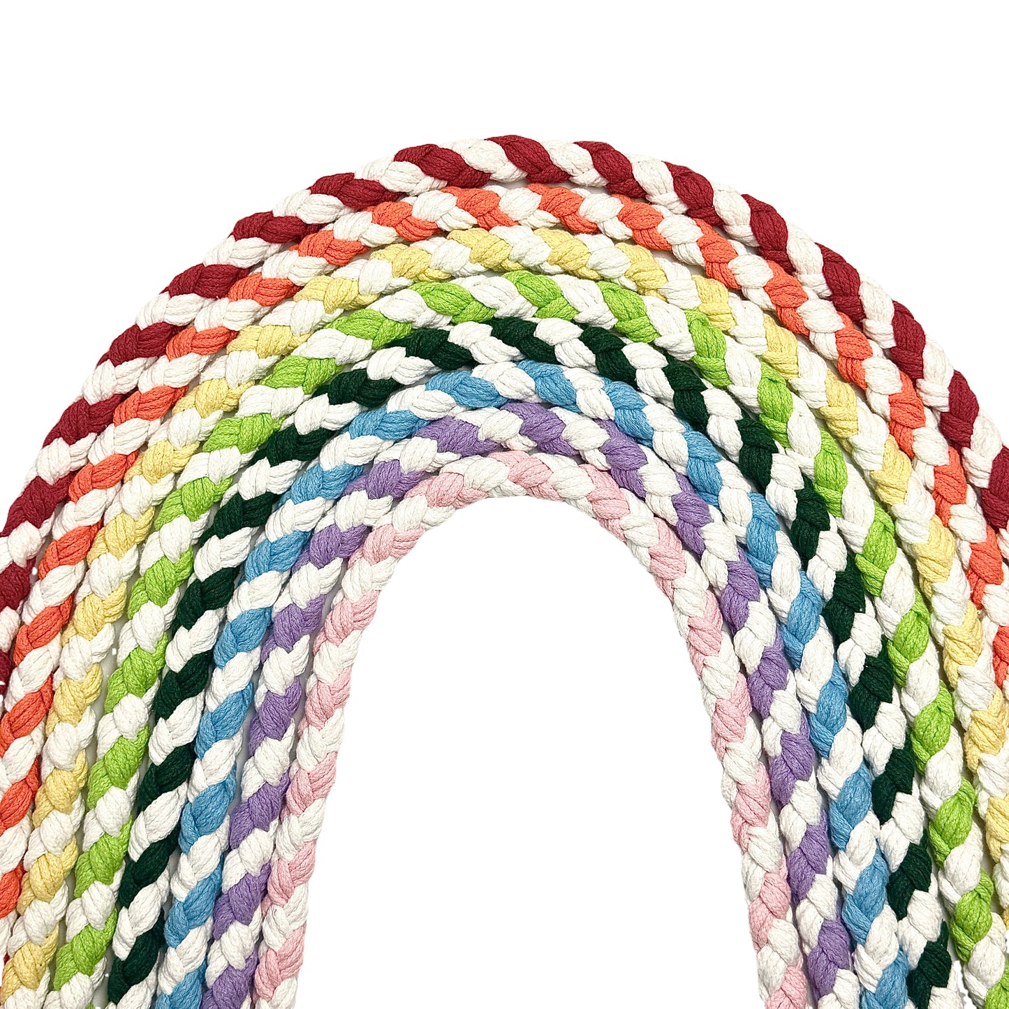 Eight handmade dog leashes arranged in a flowing, curved pattern, forming a half-circle that resembles a colorful rainbow.