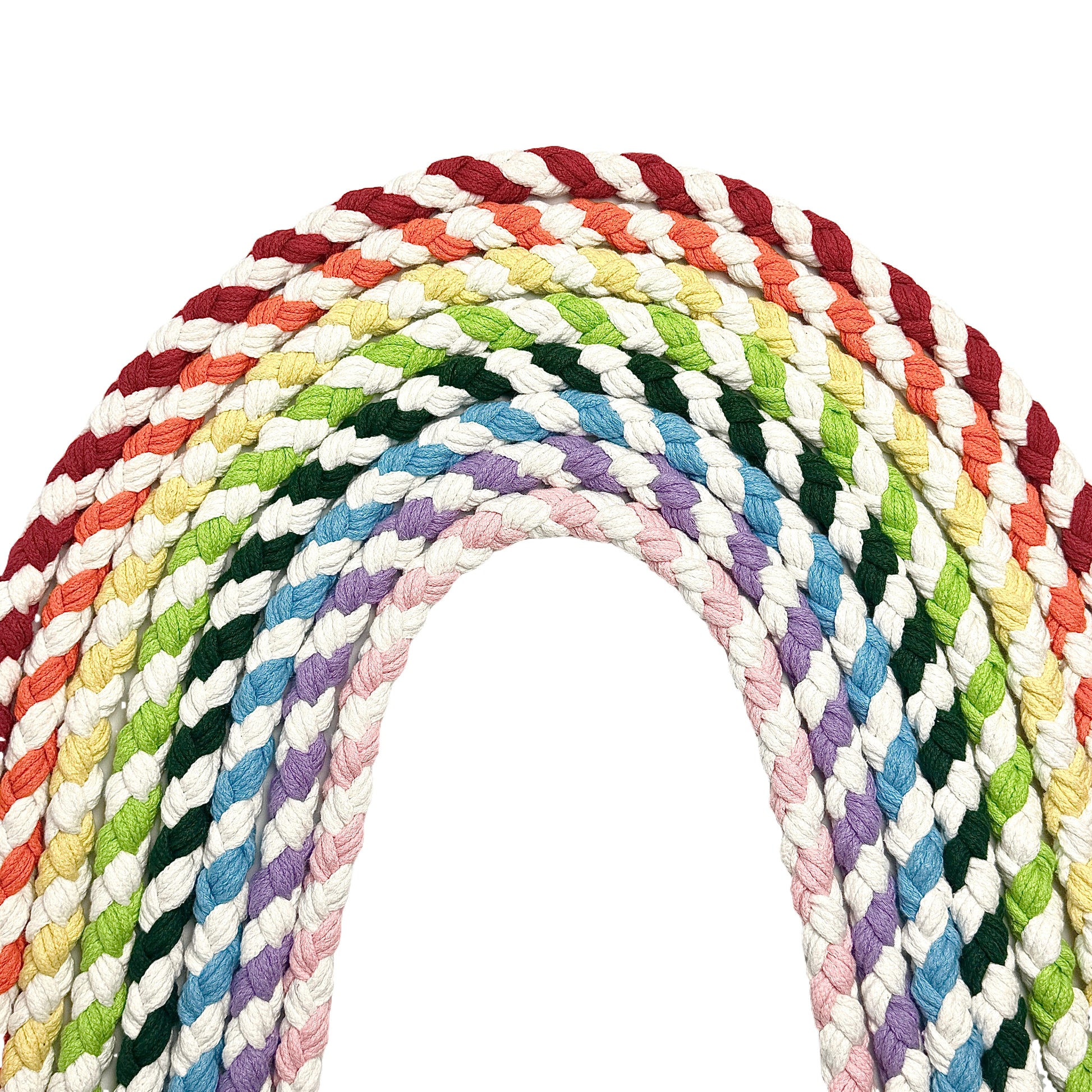 Eight handmade dog leashes arranged in a flowing, curved pattern, forming a half-circle that resembles a colorful rainbow.