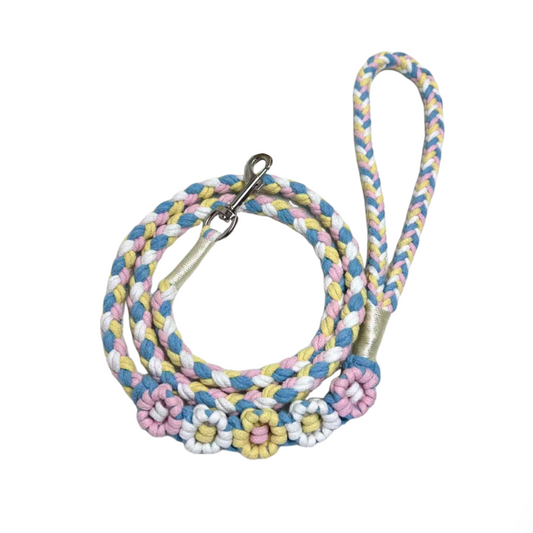 Blue and pink five-flower handmade dog leash coiled together, displaying its overall design with a fresh and vibrant look.