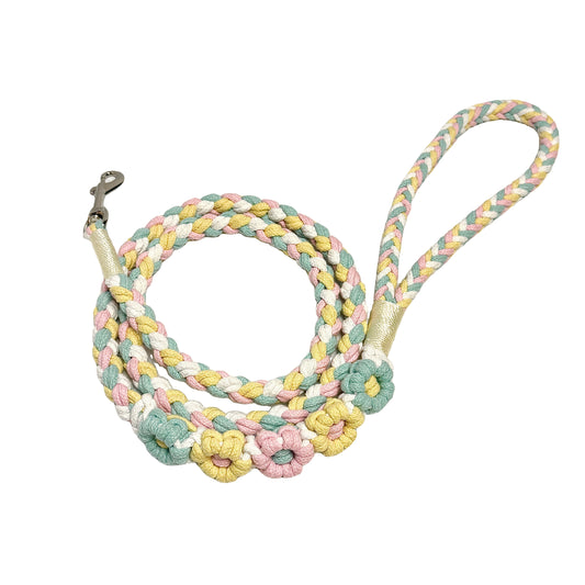 Blue and yellow five-flower handmade dog leash coiled together, displaying its overall design with a fresh and vibrant look.