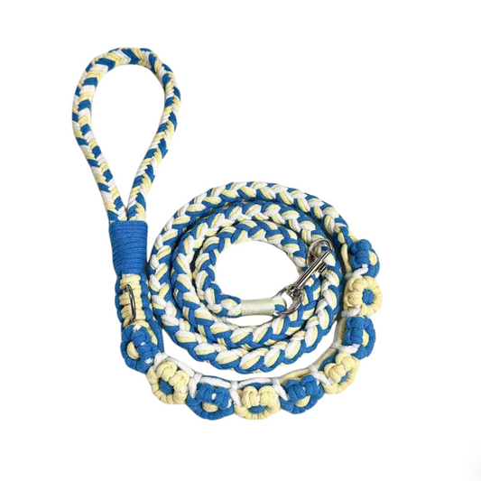 Blue and yellow nine-flower handmade dog leash coiled together, displaying its overall design with a vibrant and elegant look.